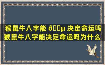 猴鼠牛八字能 🐵 决定命运吗（猴鼠牛八字能决定命运吗为什么 🦟 ）